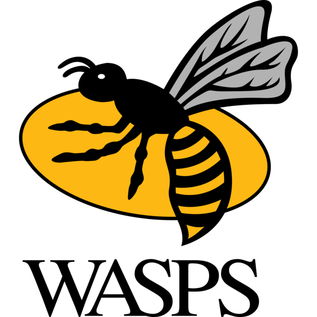 Wasps set to enter administration